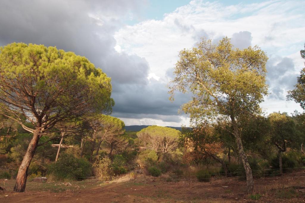 Le Mas Du Rouquan Bed & Breakfast Vidauban Exterior photo